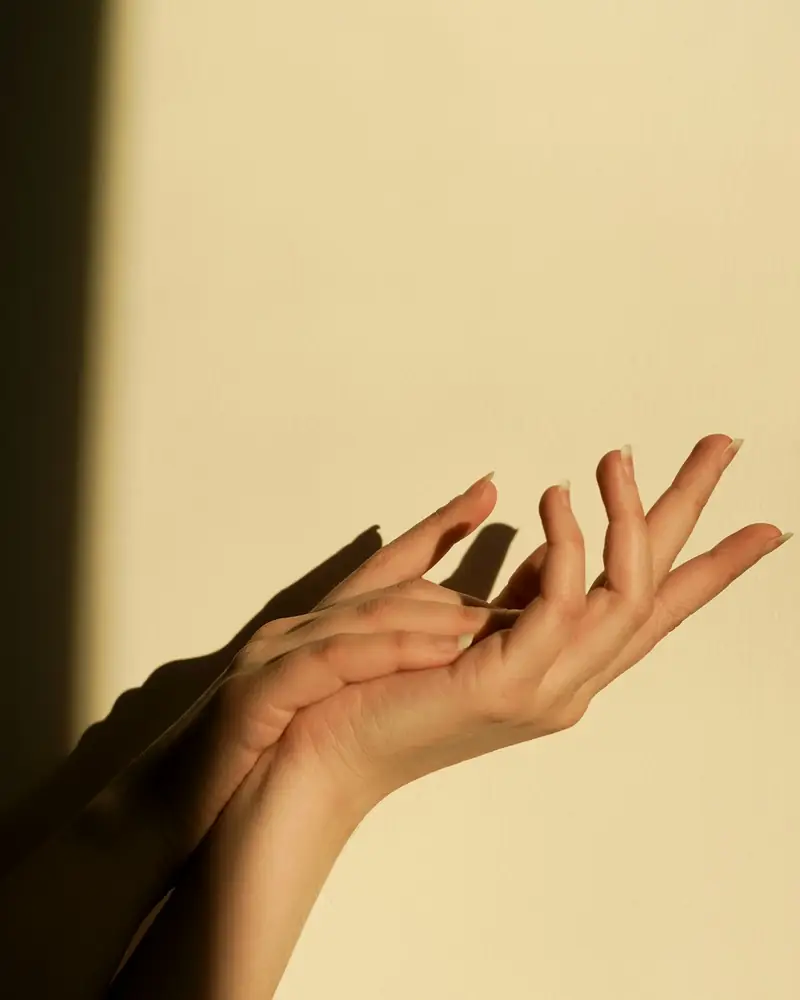 Due mani aperte nella luce calda del pomeriggio, contro una parete chiara.